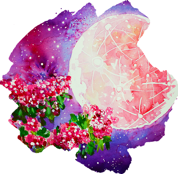 Flower Moon Print and Card